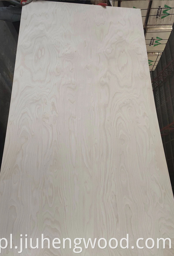 Birch Plywood